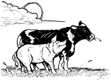 Lucy and cow