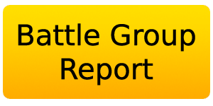Battle Group Report