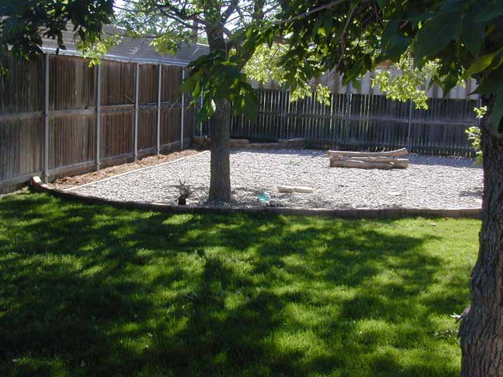 yard looking East North Eas.JPG