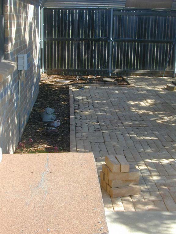 Yard northwest corner.JPG