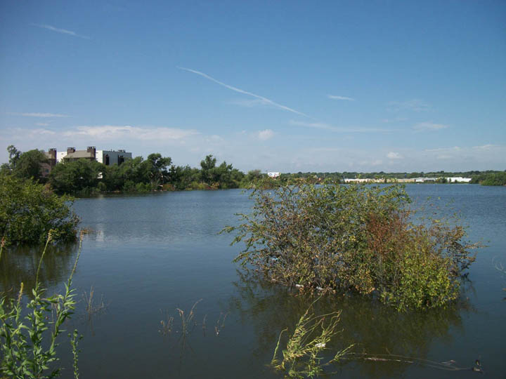 Lawrence Lake 1.JPG