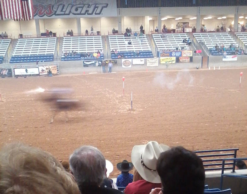cowboy shooting 2016.jpg