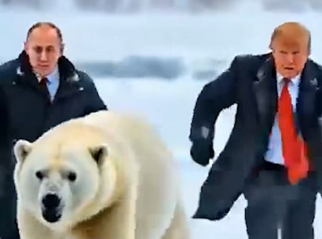 Bear chase.Jpg